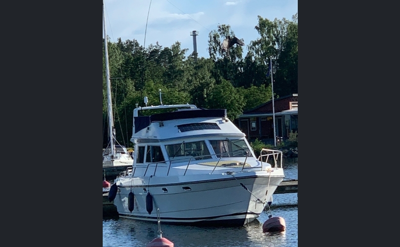 Tristan Harmony 345 fly-kuva-17